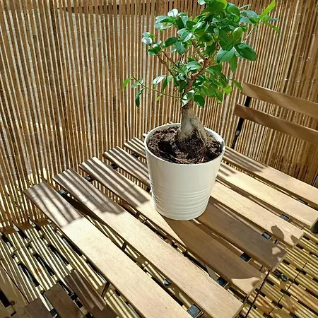 Sole&scudo Apartamento